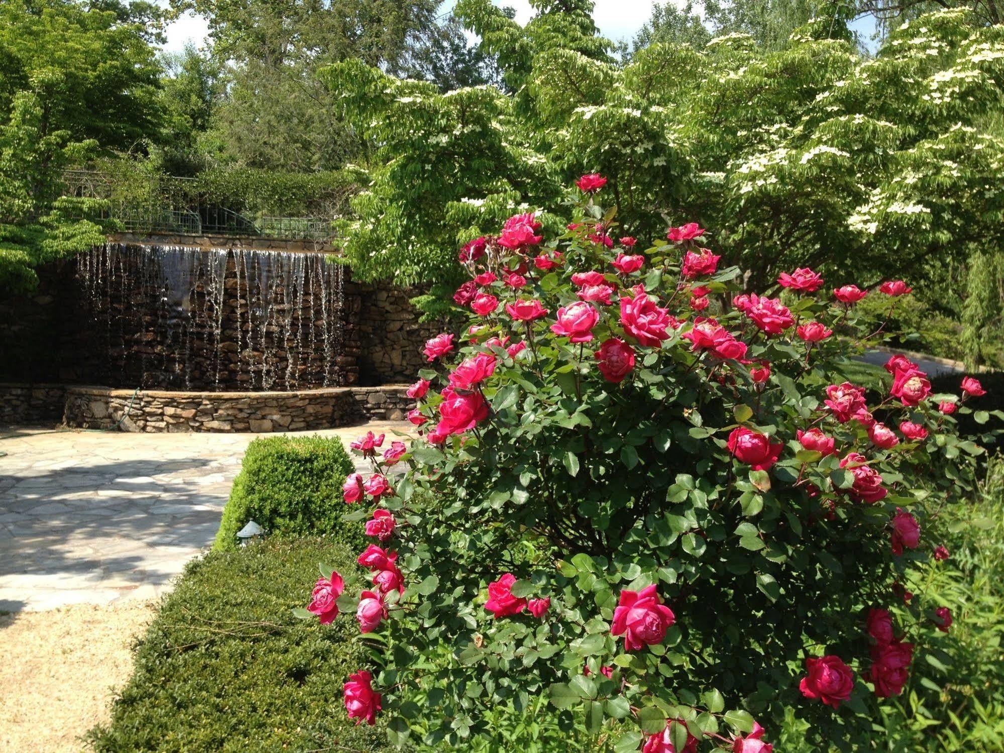 Om Sanctuary Holistic Retreat Hotel Asheville Exterior photo
